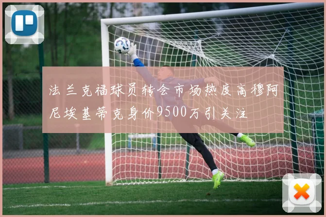 法兰克福球员转会市场热度高穆阿尼埃基蒂克身价9500万引关注
